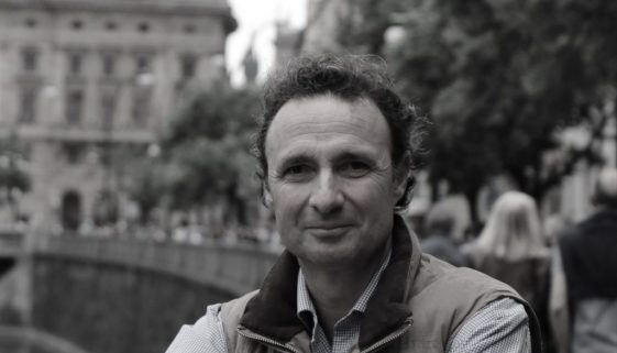 Javier Gonzalez Alcocer - Escritor